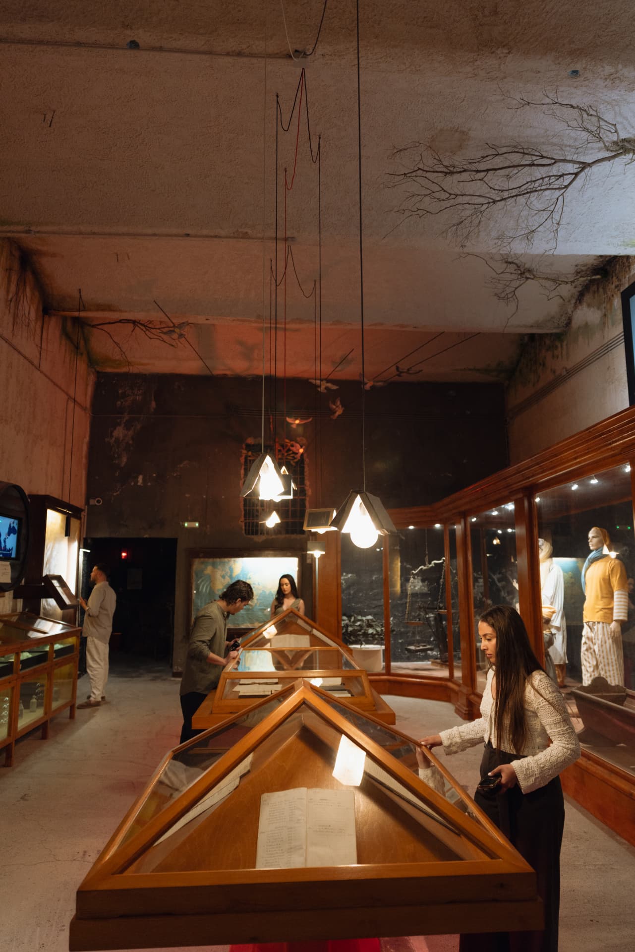 Lit display cases with winemaking archives